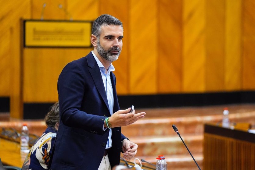 El consejero de Agricultura, Pesca, Agua y Desarrollo Rural, Ramón Fernández-Pacheco, en el Parlamento de Andalucía. - JOAQUÍN CORCHERO - PARLAMENTO ANDALUCÍA