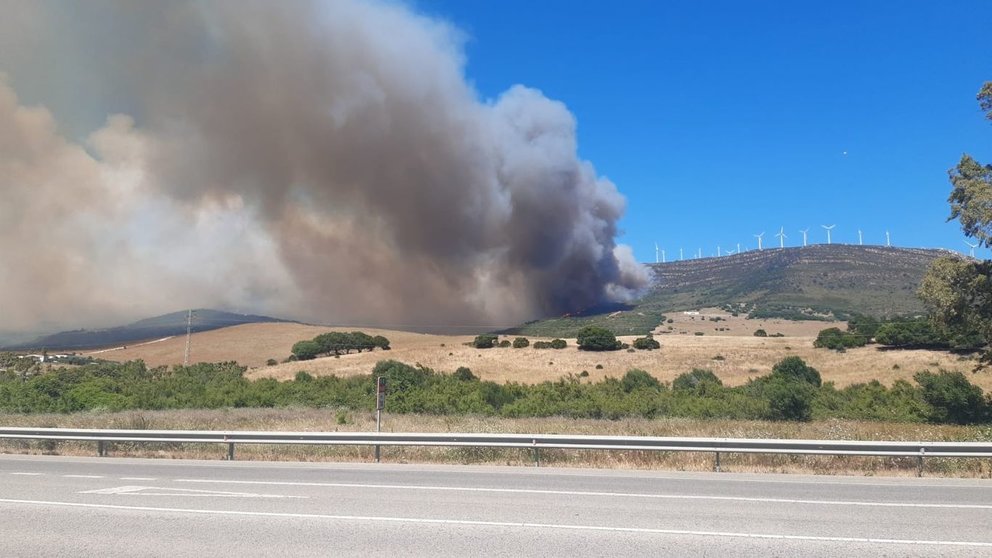 Incendio en el monte La Peña, en Tarifa