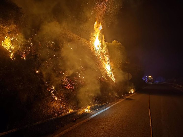 Incendio forestal en Guadiaro